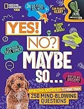 Cover of Yes! No? Maybe So...