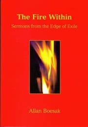 Cover of The Fire within