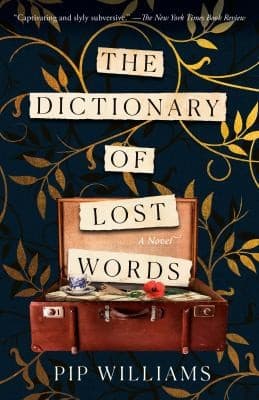 Cover of The Dictionary of Lost Words