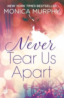 Cover of Never Tear Us Apart