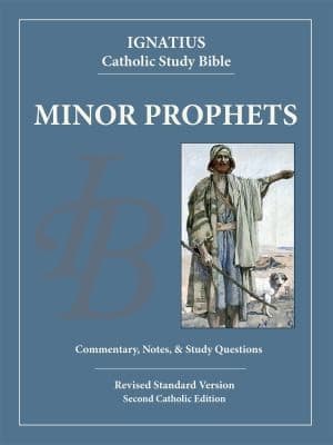 Cover of Minor Prophets