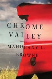 Cover of Chrome Valley