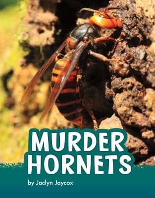 Cover of Murder Hornets
