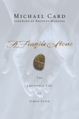Cover of Fragile Stone