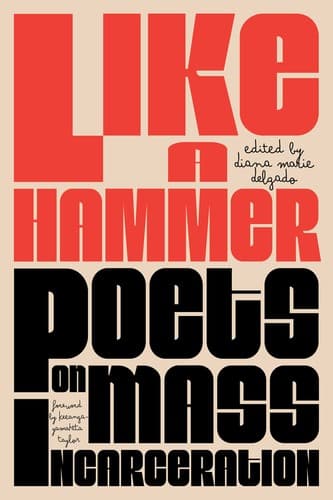 Cover of Like a Hammer