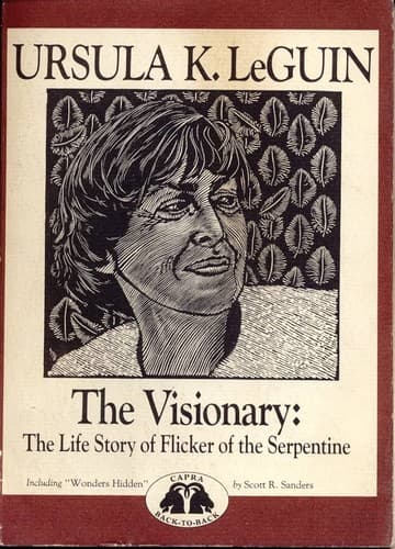 Cover of The Visionary, Wonders Hidden