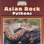 Cover of Asian Rock Pythons (World's Largest Snakes)