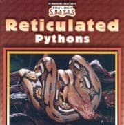Cover of Reticulated Pythons (World's Largest Snakes)