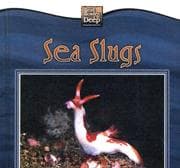 Cover of Sea Slugs (Weird Wonders of the Deep)