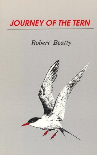 Cover of Journey of the Tern