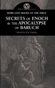 Cover of More Lost Books of the Bible