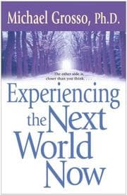 Cover of Experiencing the next world now