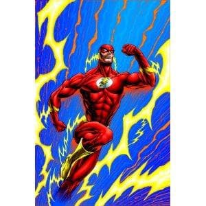 Cover of Flash - Emergency Stop