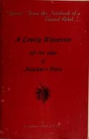 Cover of A lonely winepress off the edge of Megiddo's plain