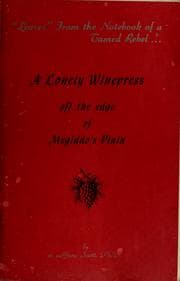 Cover of A lonely winepress off the edge of Megiddo's plain