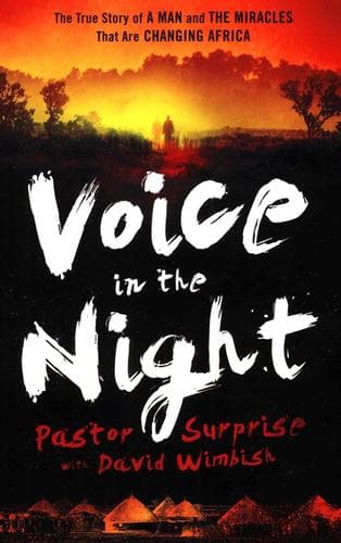 Cover of Voice in the night