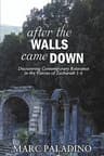 Cover of After the Walls Came Down: Discovering Contemporary Relevance in the Visions of Zechariah 1-6
