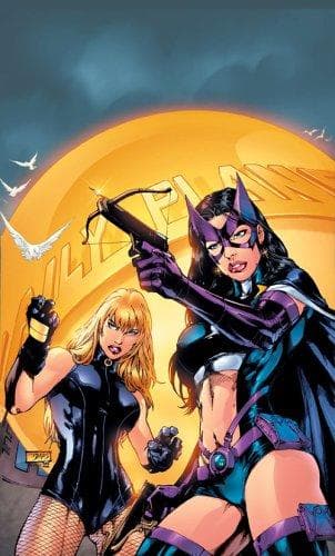 Cover of Birds of Prey Vol. 4