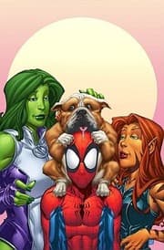 Cover of Spiderman And The Avengers