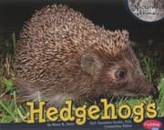 Cover of Hedgehogs
