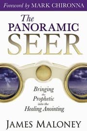 Cover of The Panoramic Seer