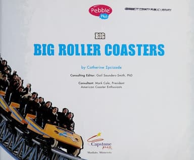 Cover of Big roller coasters