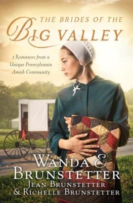 Cover of THE BRIDES OF THE BIG VALLEY