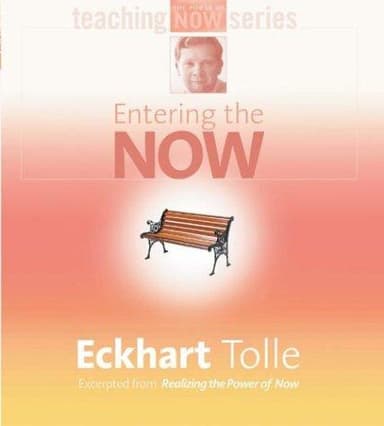 Cover of Entering the Now