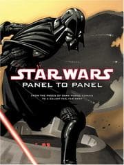 Cover of Panel to Panel