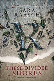 Cover of These divided shores