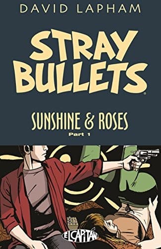 Cover of Stray Bullets