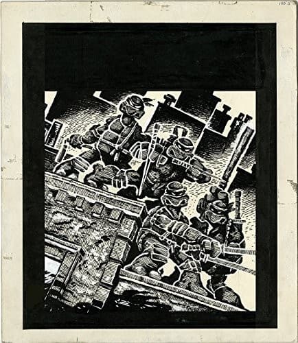 Cover of Teenage Mutant Ninja Turtles Artisan Edition