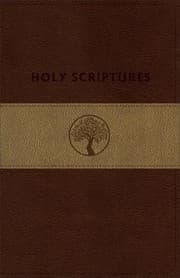 Cover of TLV Personal Size Giant Print Reference, Holy Scriptures, Brown/Sand LeatherTouch