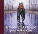 Cover of Things from the Flood