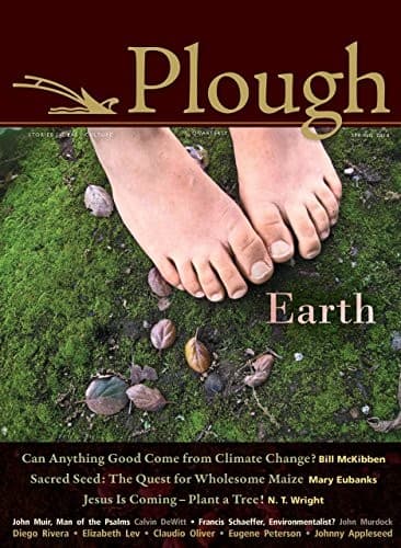 Cover of Plough Quarterly No. 4