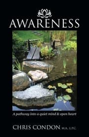 Cover of Awareness