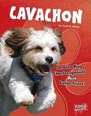 Cover of Cavachon