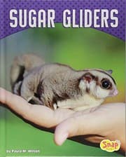 Cover of Sugar Gliders