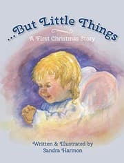 Cover of ...But Little Things