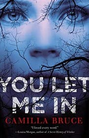 Cover of You Let Me In