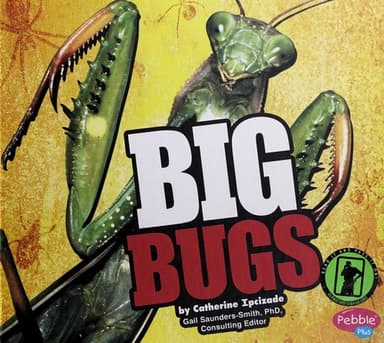 Cover of Big bugs