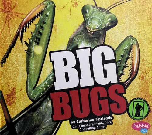 Cover of Big bugs