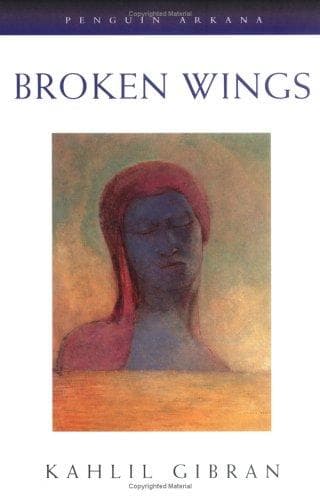 Cover of The Broken Wings