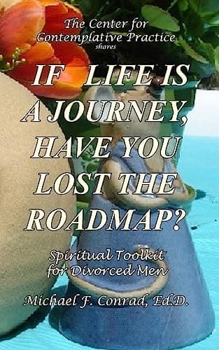 Cover of If Life Is a Journey, Have You Lost the Roadmap?
