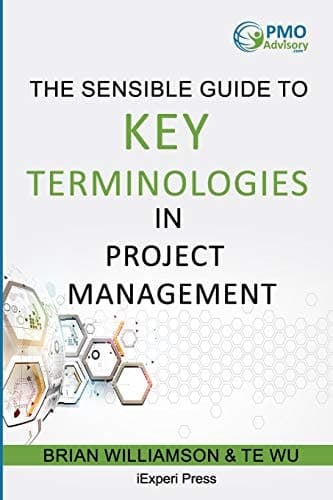 Cover of Sensible Guide to Key Terminologies in Project Management