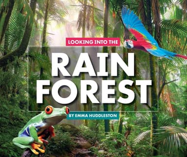 Cover of Looking into the Rain Forest