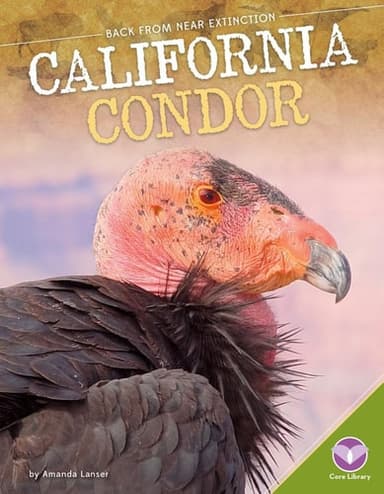 Cover of California Condor (Back from Near Extinction)