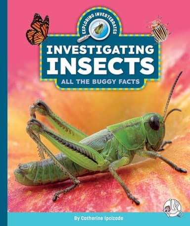 Cover of Investigating Insects