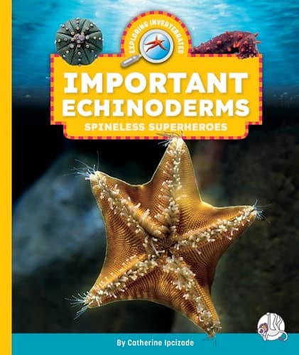 Cover of Important Echinoderms