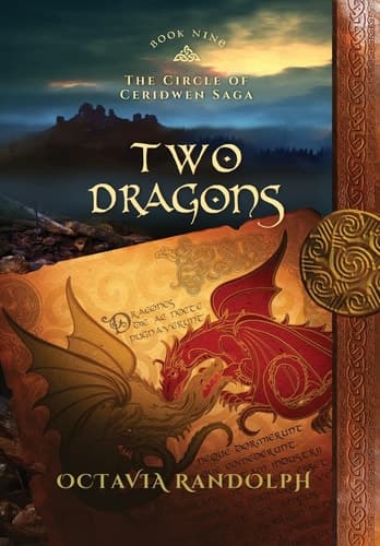 Cover of Two Dragons